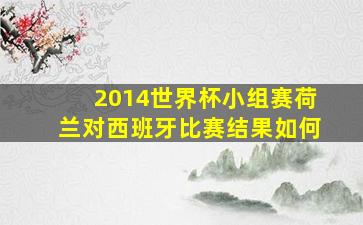 2014世界杯小组赛荷兰对西班牙比赛结果如何