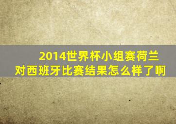 2014世界杯小组赛荷兰对西班牙比赛结果怎么样了啊