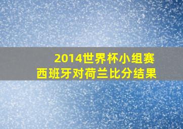 2014世界杯小组赛西班牙对荷兰比分结果