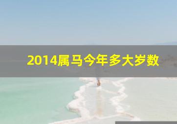 2014属马今年多大岁数