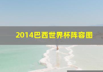 2014巴西世界杯阵容图