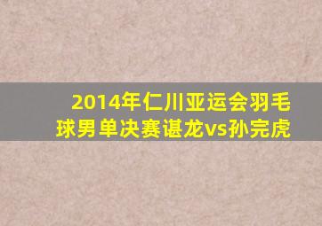 2014年仁川亚运会羽毛球男单决赛谌龙vs孙完虎