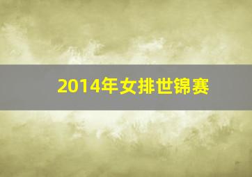 2014年女排世锦赛