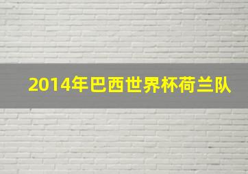 2014年巴西世界杯荷兰队