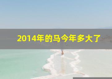 2014年的马今年多大了