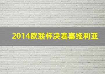 2014欧联杯决赛塞维利亚