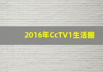 2016年CcTV1生活圈