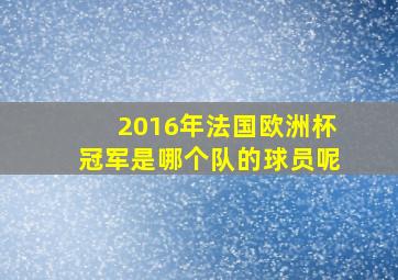 2016年法国欧洲杯冠军是哪个队的球员呢