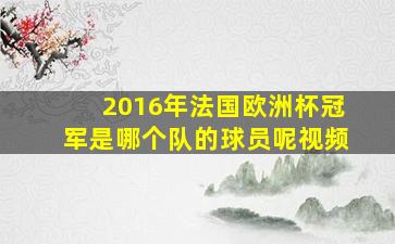 2016年法国欧洲杯冠军是哪个队的球员呢视频