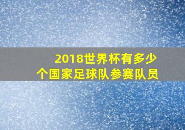 2018世界杯有多少个国家足球队参赛队员