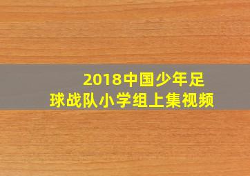 2018中国少年足球战队小学组上集视频