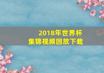 2018年世界杯集锦视频回放下载