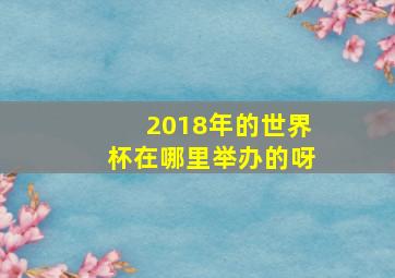 2018年的世界杯在哪里举办的呀