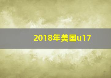 2018年美国u17