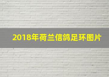 2018年荷兰信鸽足环图片