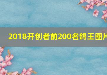 2018开创者前200名鸽王图片