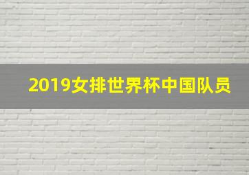 2019女排世界杯中国队员