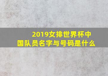 2019女排世界杯中国队员名字与号码是什么