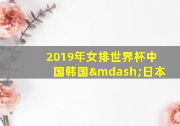 2019年女排世界杯中国韩国—日本