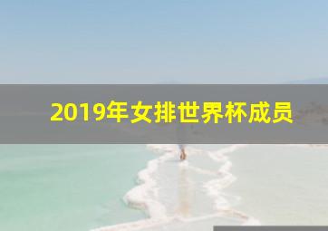 2019年女排世界杯成员