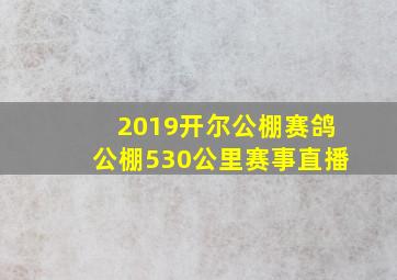 2019开尔公棚赛鸽公棚530公里赛事直播