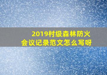 2019村级森林防火会议记录范文怎么写呀