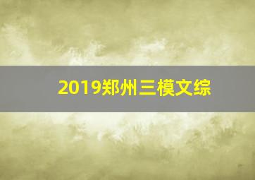 2019郑州三模文综