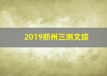 2019郑州三测文综