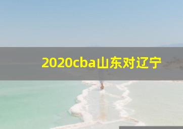 2020cba山东对辽宁