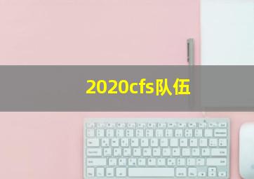 2020cfs队伍