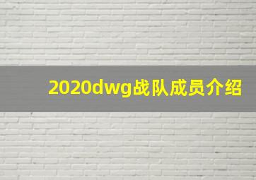 2020dwg战队成员介绍