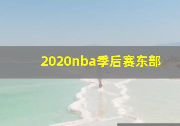 2020nba季后赛东部