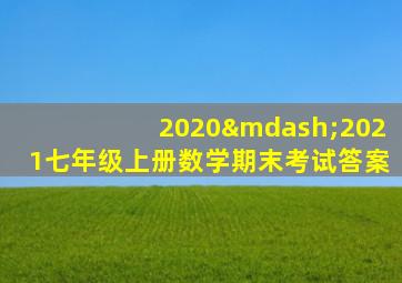 2020—2021七年级上册数学期末考试答案