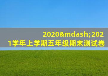 2020—2021学年上学期五年级期末测试卷