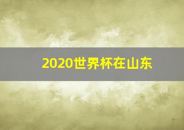 2020世界杯在山东