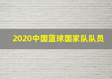 2020中国篮球国家队队员