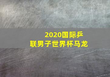 2020国际乒联男子世界杯马龙