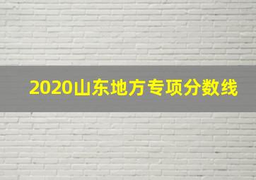 2020山东地方专项分数线