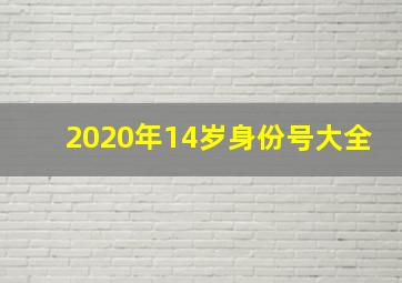 2020年14岁身份号大全