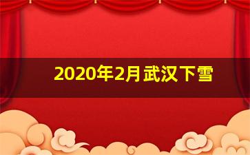 2020年2月武汉下雪