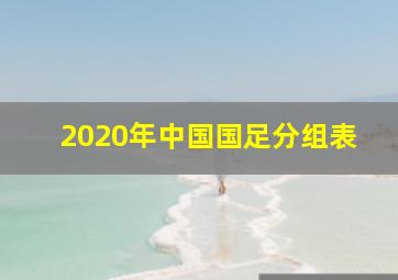 2020年中国国足分组表