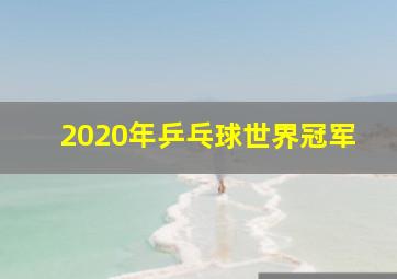 2020年乒乓球世界冠军