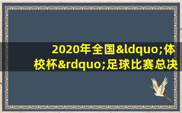 2020年全国“体校杯”足球比赛总决赛