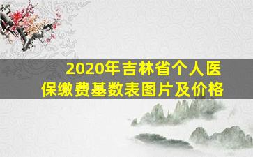 2020年吉林省个人医保缴费基数表图片及价格