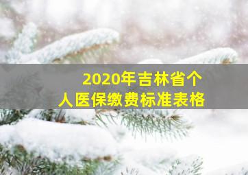 2020年吉林省个人医保缴费标准表格