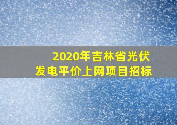 2020年吉林省光伏发电平价上网项目招标