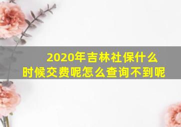 2020年吉林社保什么时候交费呢怎么查询不到呢