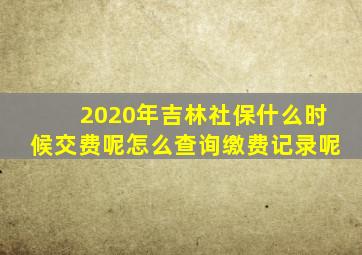 2020年吉林社保什么时候交费呢怎么查询缴费记录呢