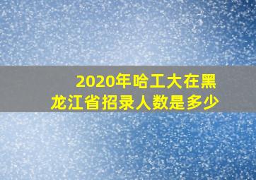 2020年哈工大在黑龙江省招录人数是多少