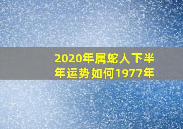 2020年属蛇人下半年运势如何1977年